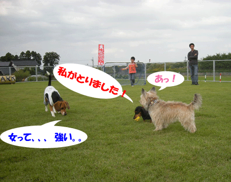 e0066883_2235344.gif