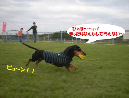 e0066883_2236247.gif