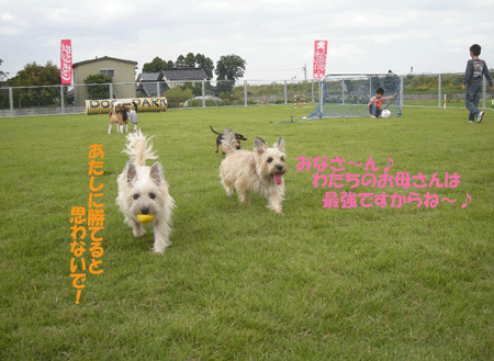 e0066883_2237846.gif