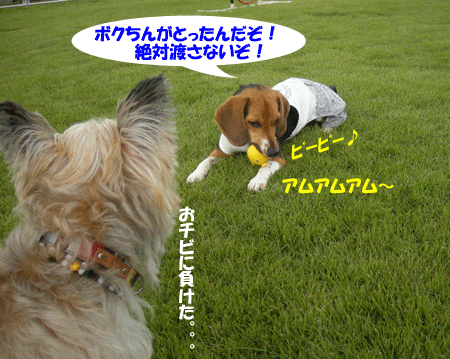 e0066883_22383480.gif