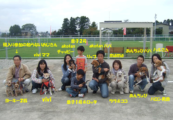 e0066883_22443662.gif
