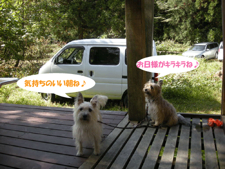 e0066883_22661.gif