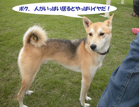 e0066883_2323755.gif