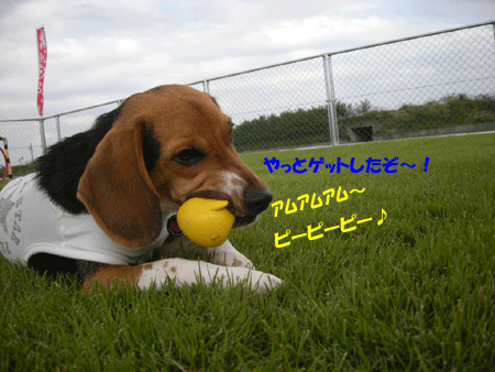 e0066883_2351510.gif