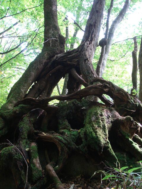 e0129083_16231371.jpg