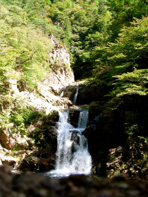 e0129083_16243682.jpg