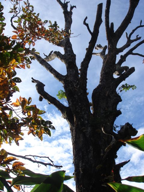 e0129083_16301792.jpg