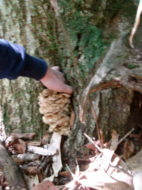 e0129083_1632690.jpg