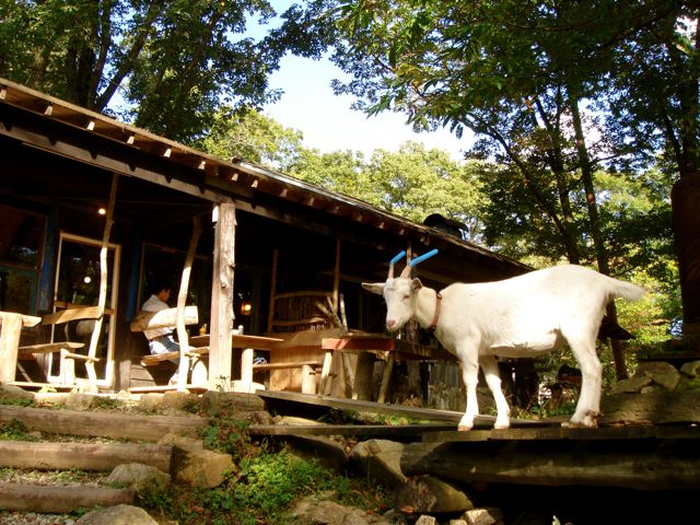 e0129083_182466.jpg
