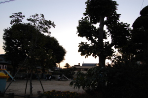 d0129786_21505893.jpg