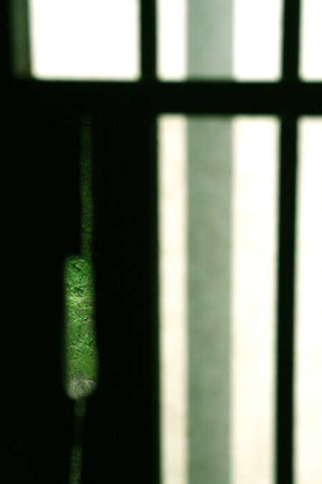 d0151787_19142353.jpg