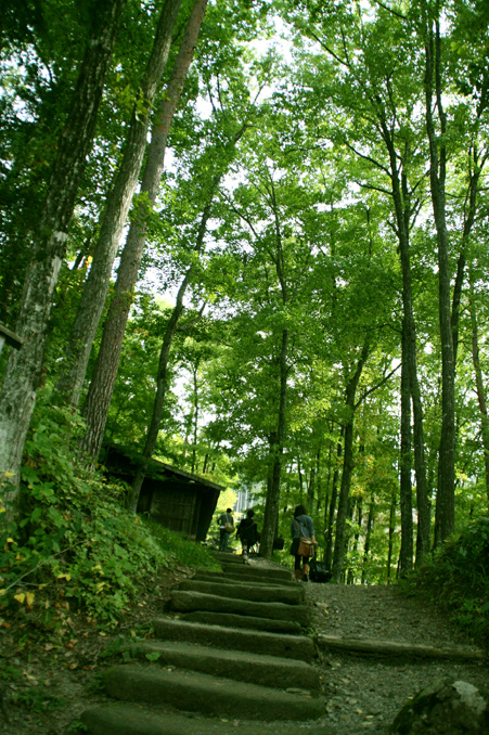 d0151787_19173871.jpg