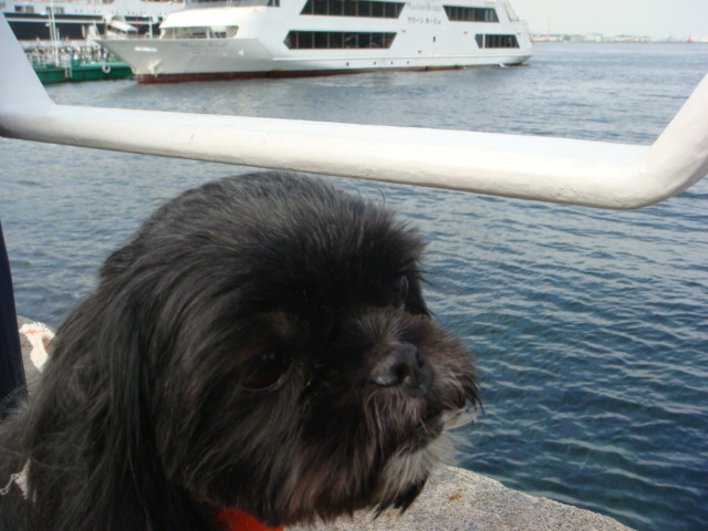 f0137694_1738996.jpg