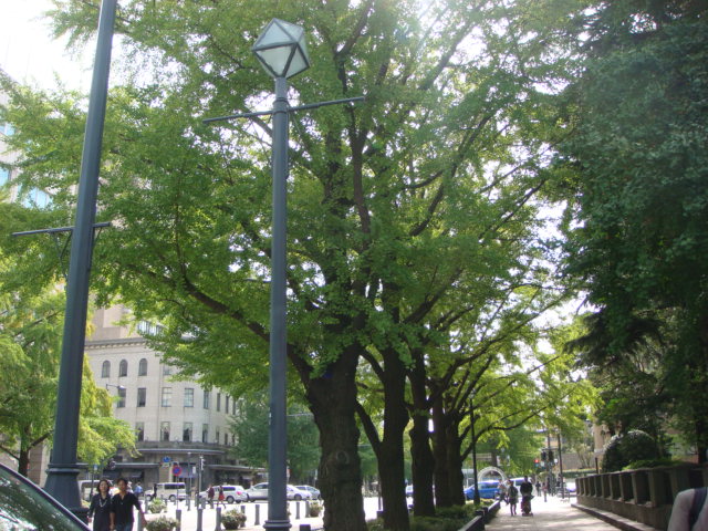 f0137694_17461889.jpg
