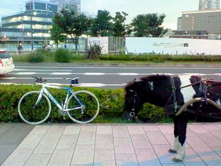 d0010496_2110338.jpg