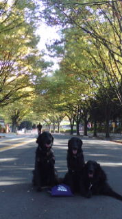 c0050400_1722318.jpg