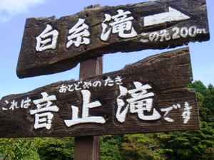 e0007801_1028857.jpg