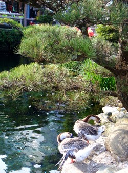 e0007801_10311173.jpg