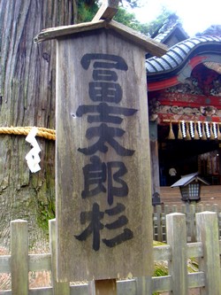 e0007801_10323924.jpg