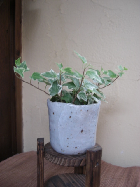 e0031202_2213121.jpg