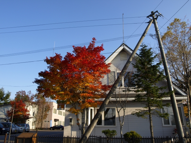 f0020302_2063234.jpg