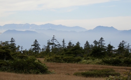 e0078510_1943373.jpg