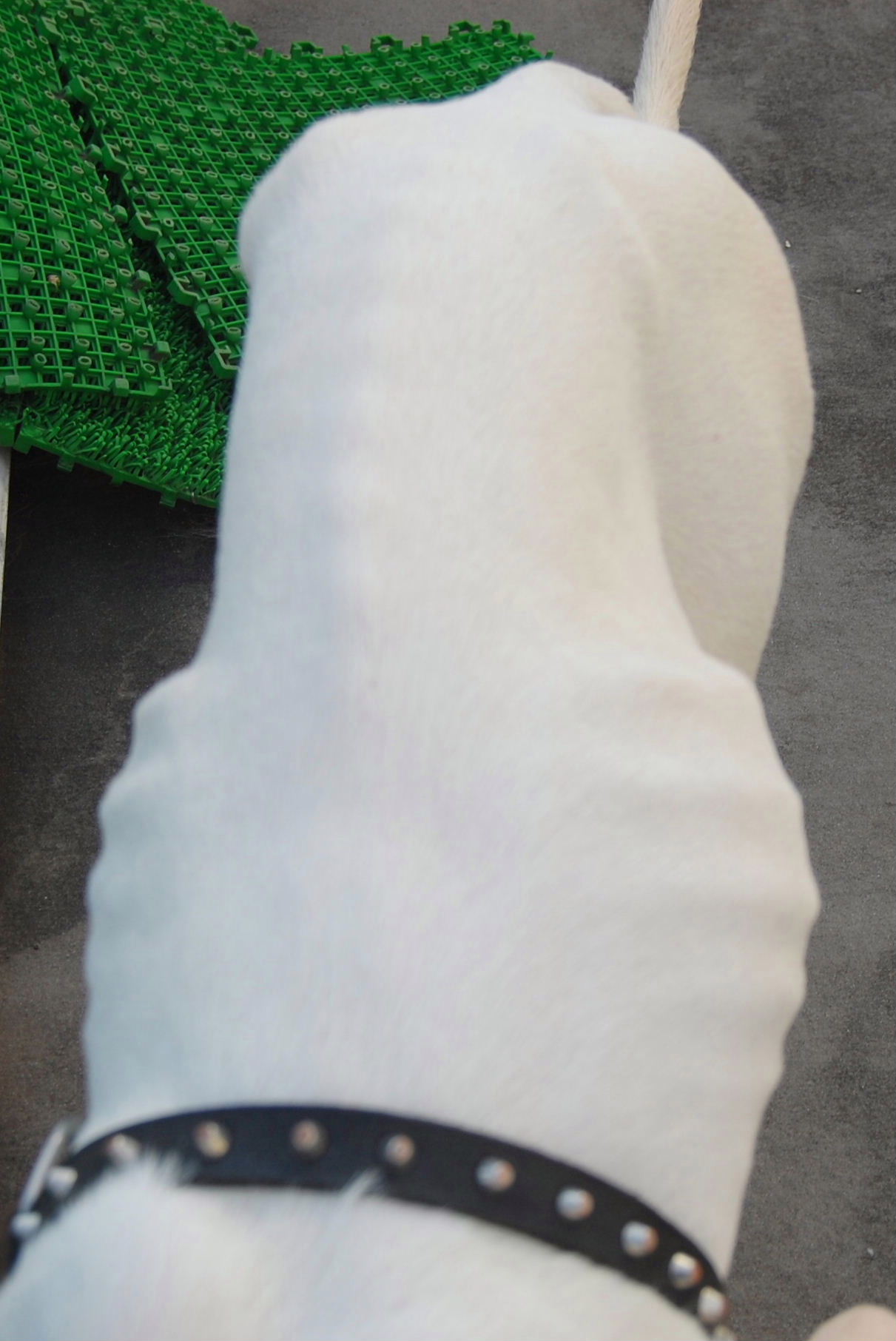 f0152315_23579.jpg