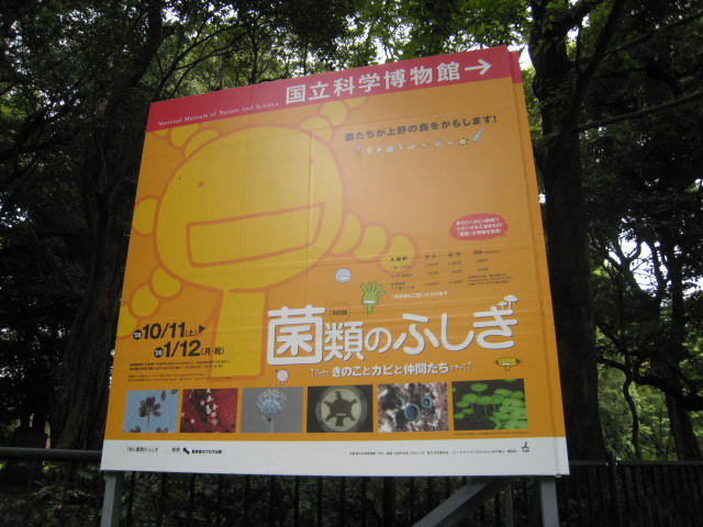 b0025419_15352776.jpg