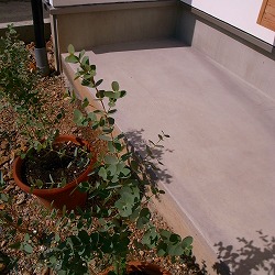 c0094621_9355968.jpg