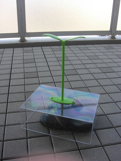 f0182121_991268.jpg