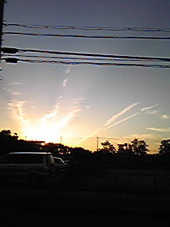 a0019322_1725654.jpg