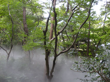 e0100623_16401428.jpg