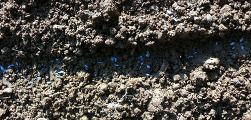 f0060424_19504088.jpg