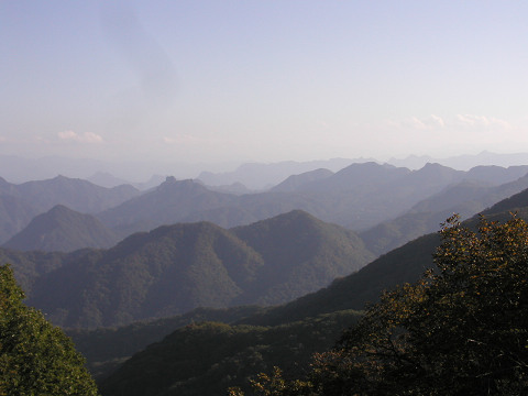 d0046531_21261522.jpg