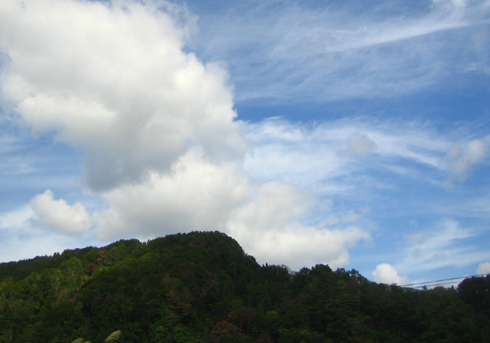 c0000134_16201411.jpg