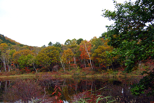 c0000134_16202991.jpg