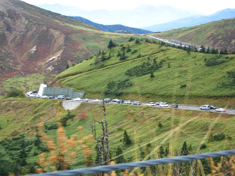 c0000134_16204352.jpg