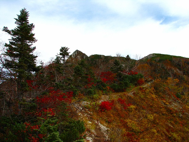 b0097836_18545953.jpg