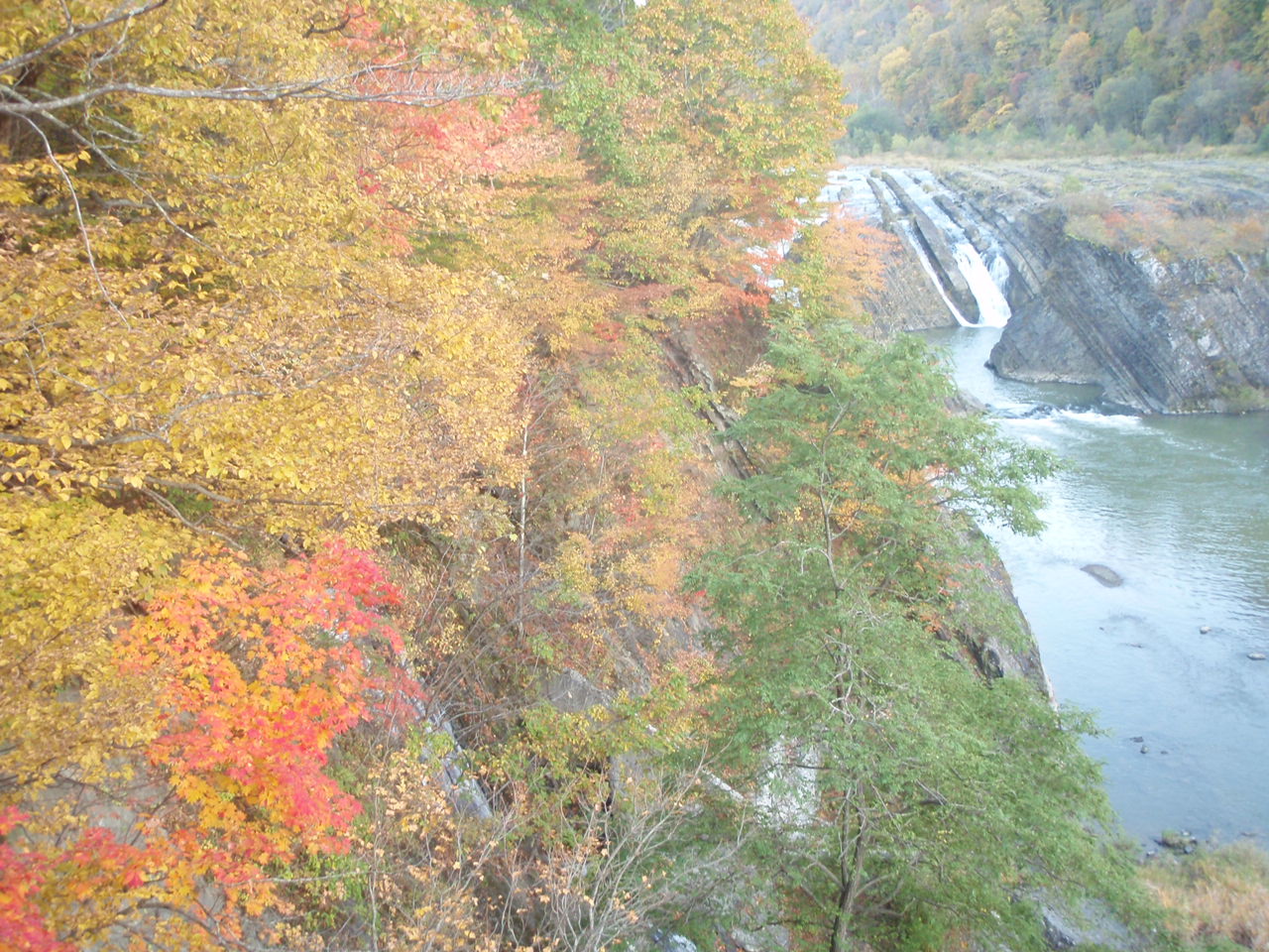 a0008538_042267.jpg