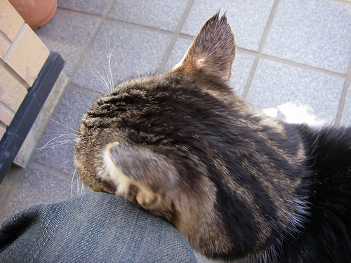 a0034438_13122683.jpg