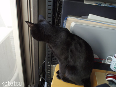 c0132438_22195565.jpg