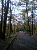 c0042941_1181276.jpg