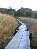 c0042941_1182946.jpg