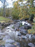 c0042941_1184068.jpg