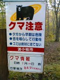 c0042941_118501.jpg