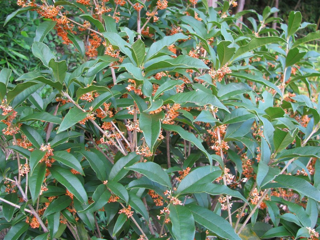 f0151044_553069.jpg