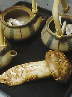 e0085052_21193954.jpg