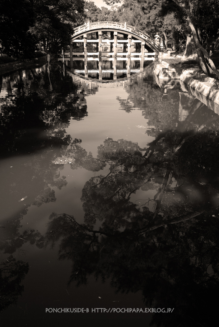 c0123759_2030258.jpg