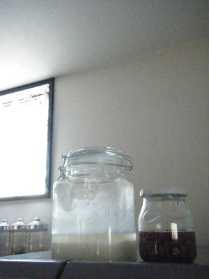 c0173559_1651331.jpg