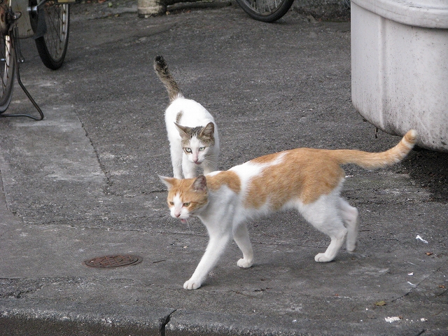 f0188659_22203563.jpg